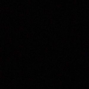 Meet your Posher, Luna